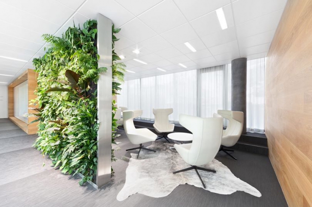 Kancelář - Přísné i rozverné kanceláře firmy KKCG