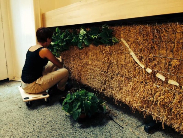 Bar / restaurace / café - Kafe Damu: Inspirováno prostorem