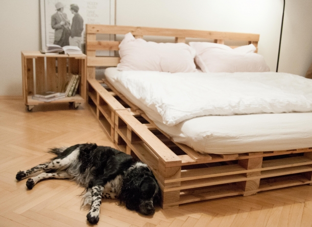 Komerční projekty - Z outsidera hvězdou