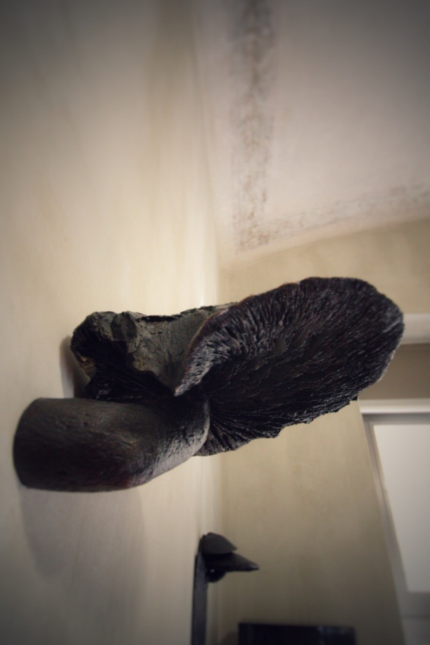 Bar / restaurace / café - Bistro No. 19: Designové produkty jako předkrm, výstava  jako zákusek