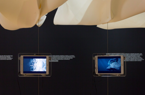 Výstavy - Současná experimentální architektura: 3D tiskárny i modulární stavby