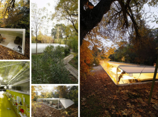 Kanceláře v lese. Španělští architekti pracují v obklopení přírody