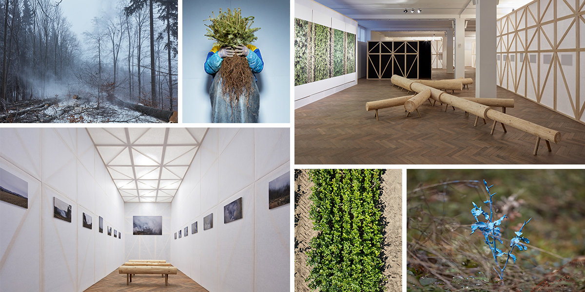 Jak Dělat Les? Výstava, která se vyhýbá klišé