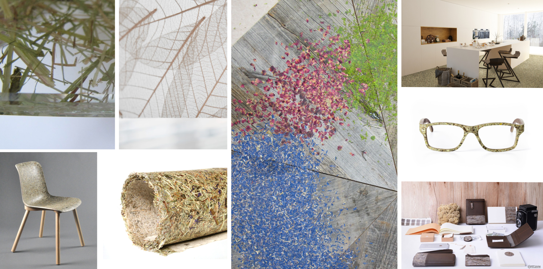 Stěny z levandule či kávy? I to umí technologie Organoid