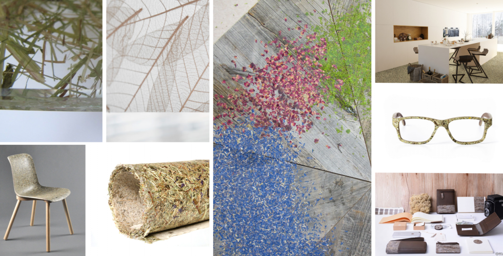 Stěny z levandule či kávy? I to umí technologie Organoid