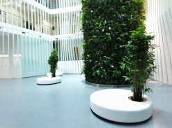 Kaskádové zahrady - KKCG