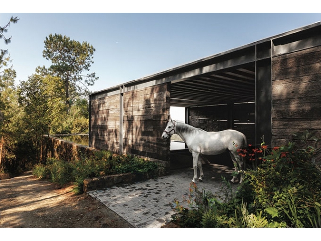 El Mirador House - Mexico 