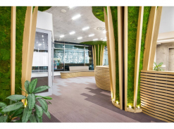 Mechové stěny pro Media Bohemia