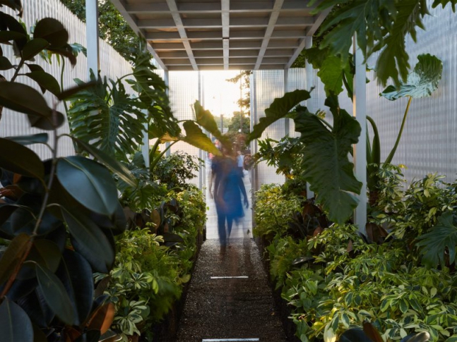 Malé londýnské lesy 