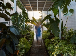 Malé londýnské lesy