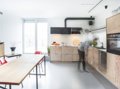 Byt pro dva lidi, dvě kočky a dva psy