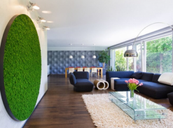 Mechové obrazy jako originální dar