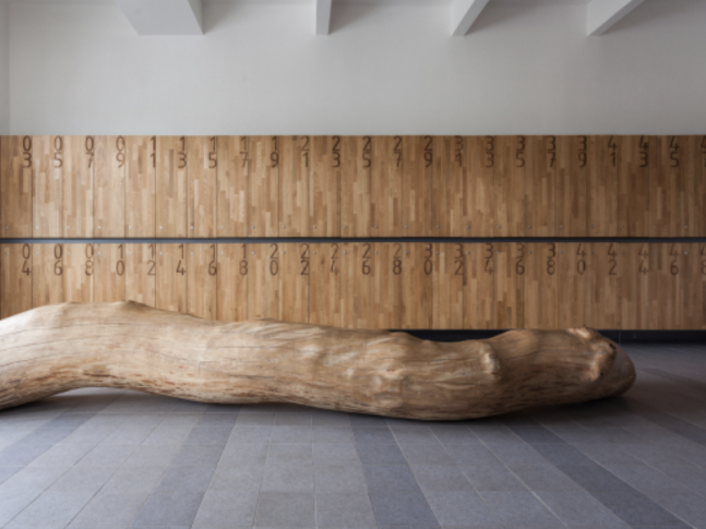 Šatna školy Járy Cimrmana 