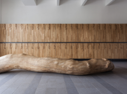 Šatna školy Járy Cimrmana