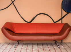 Barevný trend: The Muse