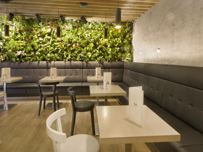 Kavárna Lagarto Deli 