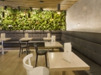 Kavárna LaGarto Vertikalni zahrada_Kavarna Lagarto Deli_Most (4)