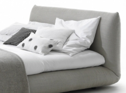 postel Jalis interlübke