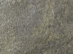 Dlaždice DELHI PULIDO