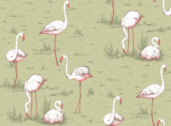 Cole&Son - Flamingos