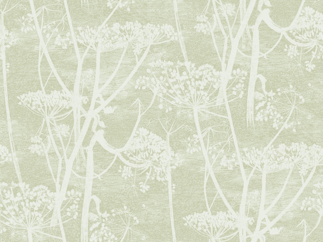 Cole&Son - Cow Parsley 