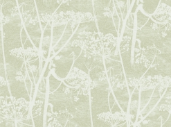 Cole&Son - Cow Parsley