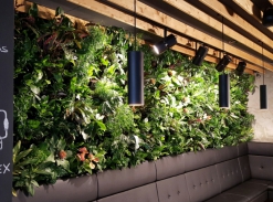 Vertikální zahrady