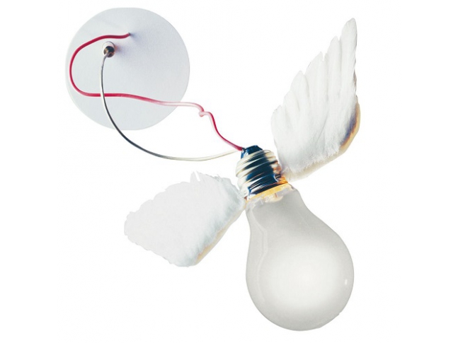 Lucellino Nt Lucellino Nt