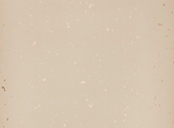 Tapeta Confetti Rose