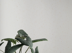 Tapeta Confetti Off-White