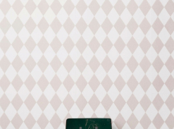 Tapeta Harlequin Rose