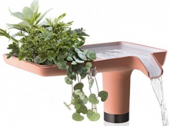 The Sea And The Shore