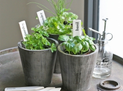 LOOOOX štítky k popisu bylinek