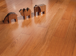 Jatoba – brazilská třešeň