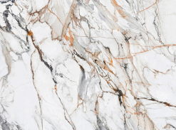 Neolith - Calacatta Luxe CL01