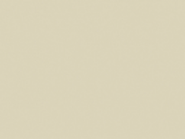 Corian Solid Surface Bone 