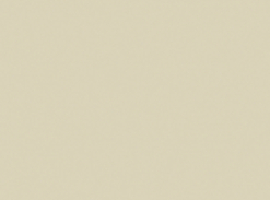 Corian Solid Surface Bone