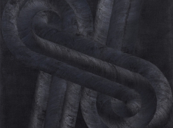 Return to Black Mountain College