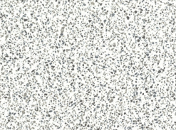 Corian® Solid Surface Domino Terrazzo
