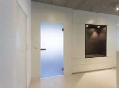 Celoskleněné dveře VITRUM