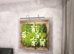 Cascade Living Art obrazy