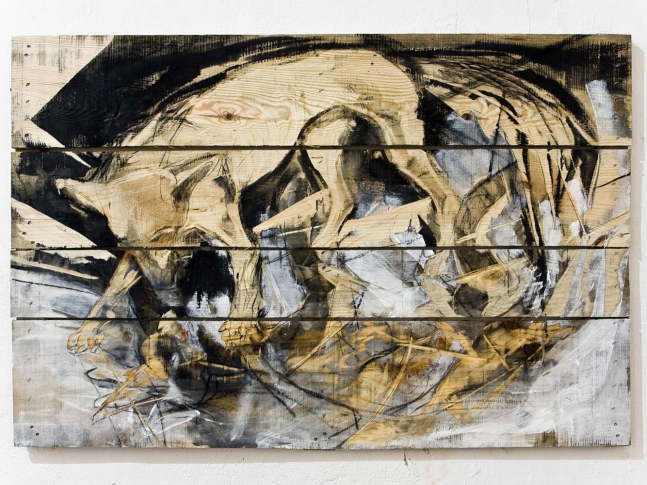 Wolf on frozen river 