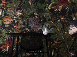 Menagerie of Extinct Animals