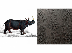 Extinct Animals - Dwarf Rhino