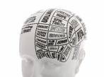 Figurky a sochy Phrenology 