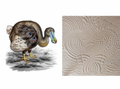 Extinct Animals - Dodo Pavone