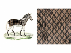 Extinct Animals - Aristo Quagga