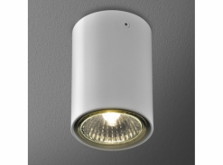 Stropní svítidla Pet Fine