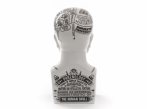 Figurky a sochy Phrenology 