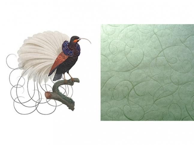 Extinct Animals - Calligraphy Bird 